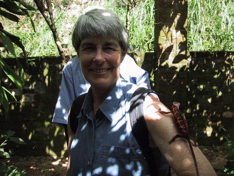 325 Lorrie and Chameleon